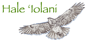 Hale 'Iolani